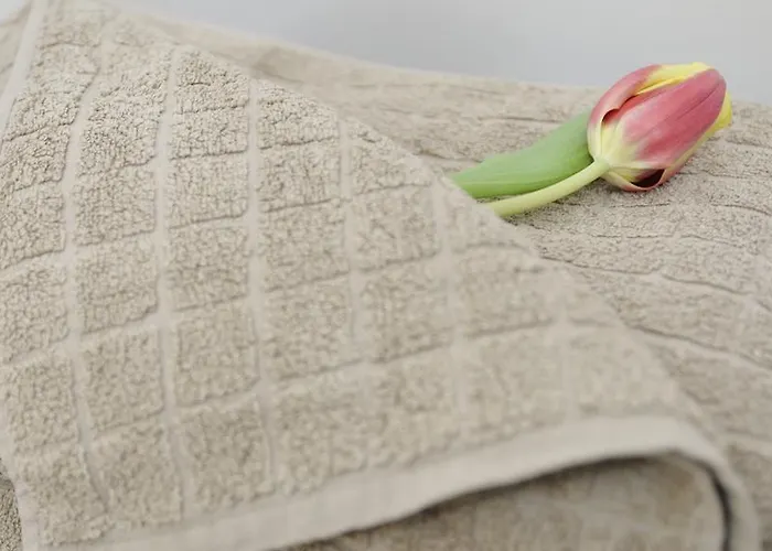 De Lights * 그라츠