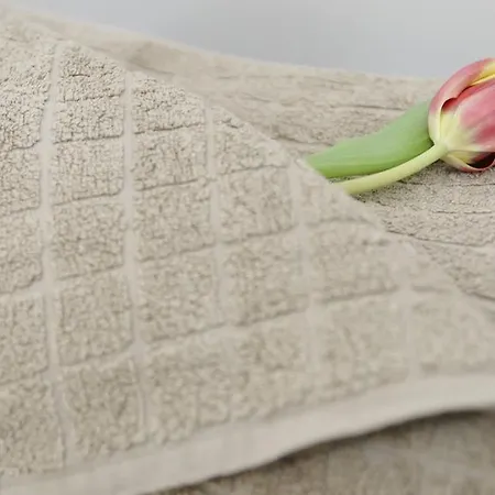 De Lights * グラーツ